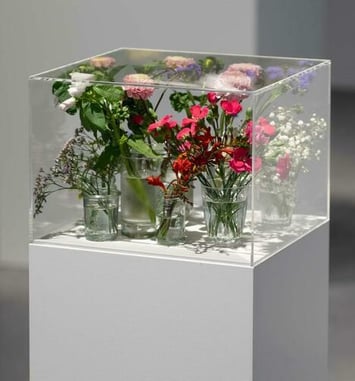 Exposition Pollen