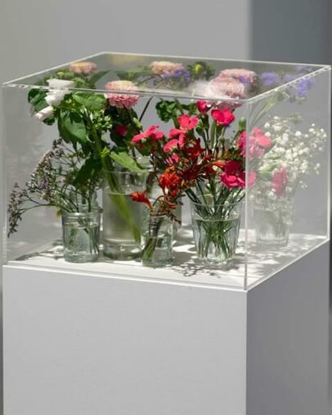 Exposition Pollen