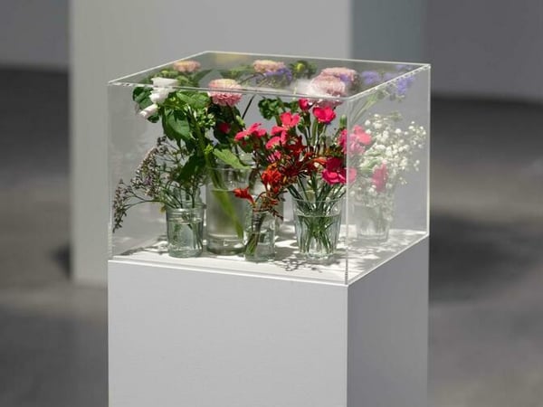 Exposition Pollen