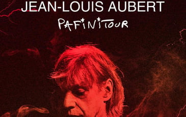 Jean-Louis Aubert, Skip The Use