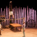 Cirque Alfonse