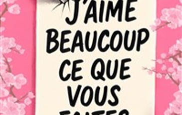 J'aime beaucoup ce que vous faites
