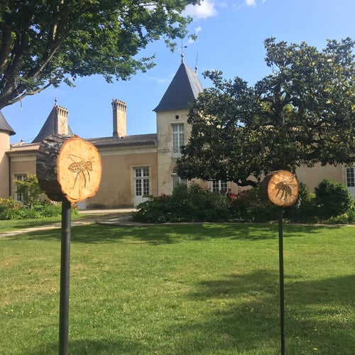 Parc du Château Lescombes