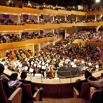 Concerto pour Public