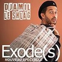 Djamil Le Shlag