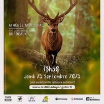 Festival International L’Animal Qui Court