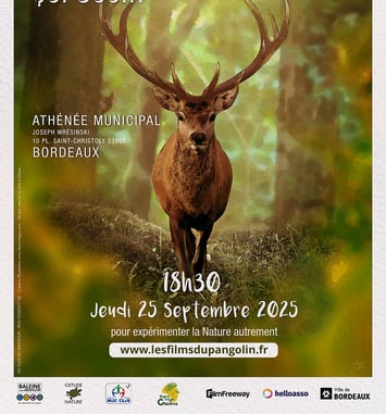 Affiche du festival avec un cerf au milieu de la forêt