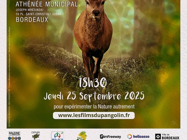 Festival International L’Animal Qui Court