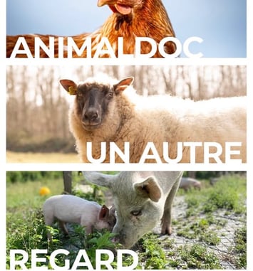 Festival AnimalDoc, Un autre regard