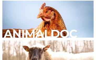 Festival AnimalDoc, Un autre regard