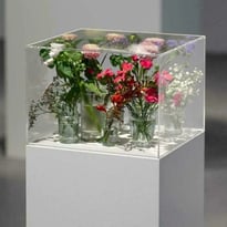 Exposition "Pollen" au CAPC de Bordeaux