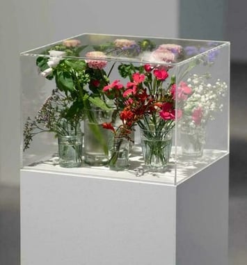 Exposition "Pollen" au CAPC de Bordeaux