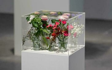 Exposition "Pollen" au CAPC de Bordeaux