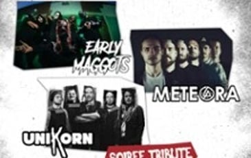 Tribute Slipknot + Linkin Park + Korn par Early Maggots, Meteora et Unikorn