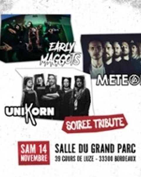 Tribute Slipknot + Linkin Park + Korn par Early Maggots, Meteora et Unikorn
