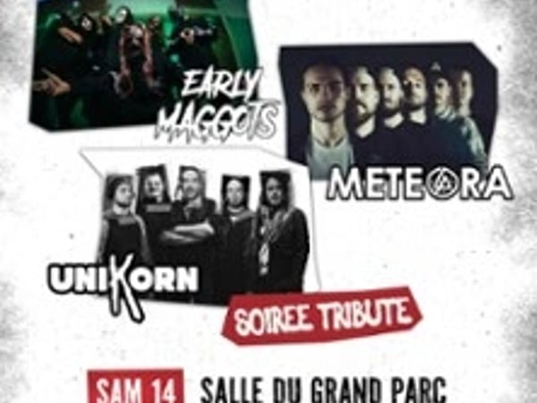Tribute Slipknot + Linkin Park + Korn par Early Maggots, Meteora et Unikorn