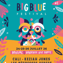 Big Blue Festival