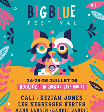 Big Blues Festival 2026 affiche