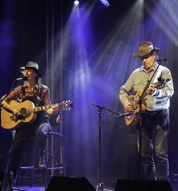 Dîner concert  folk blues et country