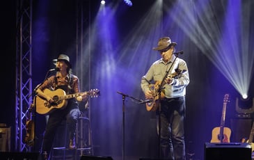 Dîner concert  folk blues et country