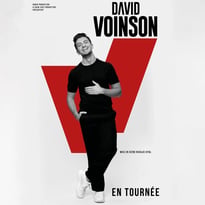 David Voinson