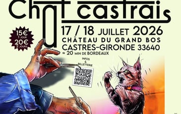 Festival du Chat Castrais