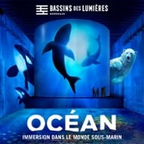 Océan et Cube avec Greenpeace