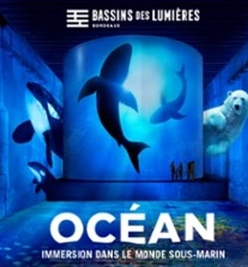 Océan et Cube avec Greenpeace