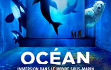 Océan et Cube avec Greenpeace