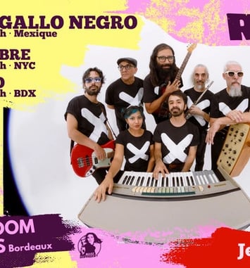 Sonido Gallo Negro + Chicha Libre + Acapulco
