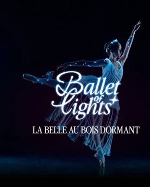 La Belle au bois dormant dans un spectacle étincelant