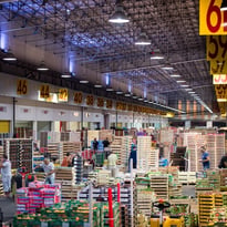 Visite du marché de gros alimentaire de Bordeaux