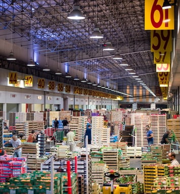 Visite du marché de gros alimentaire de Bordeaux