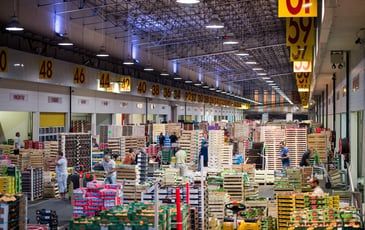 Visite du marché de gros alimentaire de Bordeaux