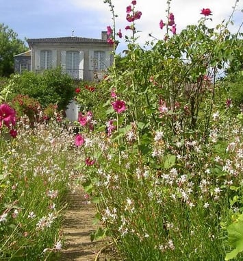 Au jardin de Jean-Jacques Rousseau