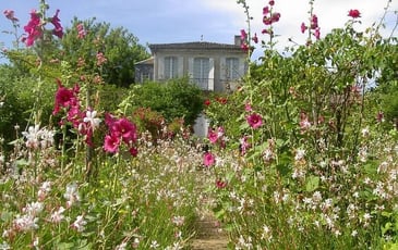 Au jardin de Jean-Jacques Rousseau