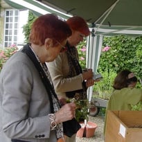 Plantez, semez, il en restera toujours quelque chose !