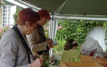 Plantez, semez, il en restera toujours quelque chose !