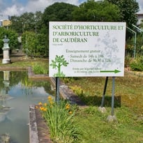 Visite du verger et de la serre