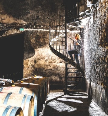 Visite guidée des caves