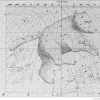 Ateliers autour de l'exposition « Nommer le vivant, dire le monde »