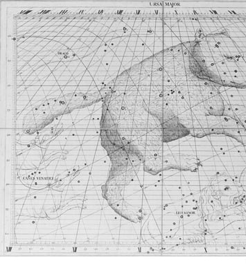 Ateliers autour de l'exposition « Nommer le vivant, dire le monde »