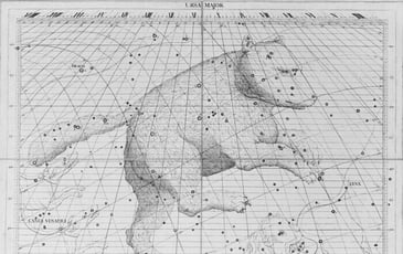 Ateliers autour de l'exposition « Nommer le vivant, dire le monde »