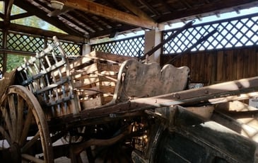 Visite du musée du maraîchage