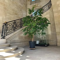 Représentation du Chœur d'hommes de l'Opéra national de Bordeaux dans le cadre de la Nuit des escaliers