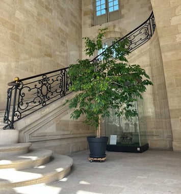 Représentation du Chœur d'hommes de l'Opéra national de Bordeaux dans le cadre de la Nuit des escaliers