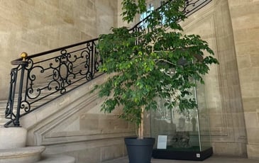 Représentation du Chœur d'hommes de l'Opéra national de Bordeaux dans le cadre de la Nuit des escaliers