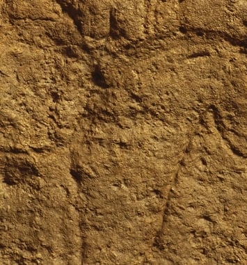 Visite guidée de la Grotte de Pair-non-Pair