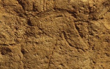 Visite guidée de la Grotte de Pair-non-Pair