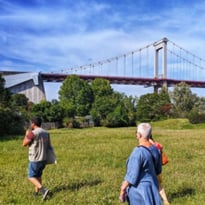 Balade urbaine à Bacalan : "Un souffle d'histoire au cœur du vivant"